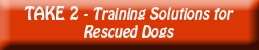 take 2 training solutions for rescued dogs